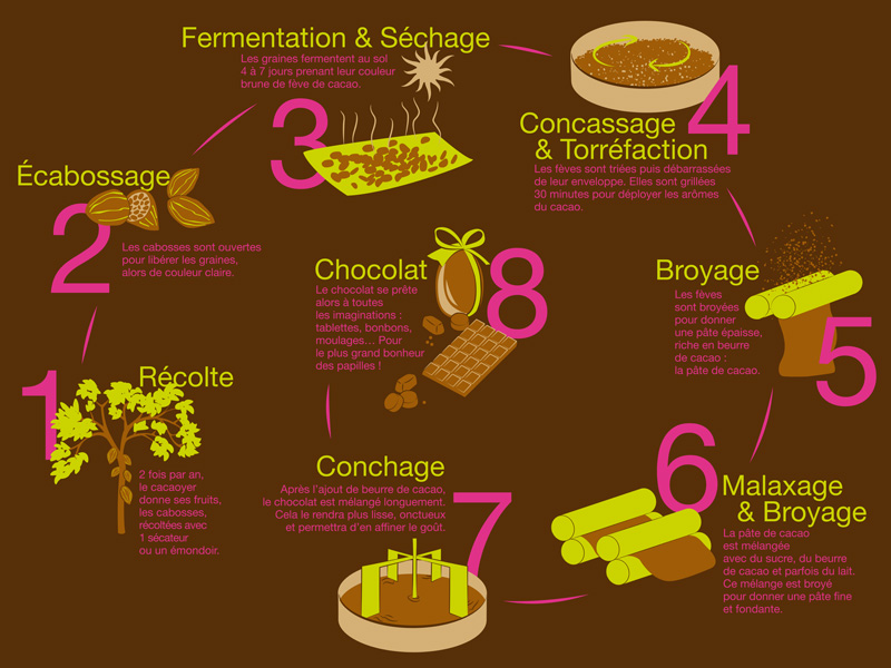 La filière cacao