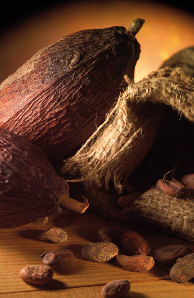 Le chocolat sous toutes ses formes